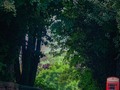 Heading Downhill    #redtelephonebox #countrywalks #countryroad #downill #everything_edited #photoshopedit #photoart #nothingisordinary #creativeimagery #creativeprocess #pixielatedpixels #chrislordnyc #chrislord #nycphotographer #wallartideas #printsforsale #artistry_lords #visionaryart #beautifulbritain #loves_britain #englandtrip #englandtourism #travelingphotographer #travel_awesome #traveladdict #travelinmyblood #uk_greatshots — view on Instagram