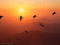 Yup, more Birds! It has been absolutely ages since I posted a bunch of bird pictures so, of course, it must be time for a few of those!    #pelicans #pelicansofinstagram #birds#critters #natureshots #chrislordnyc #pixielatedpixels #chrislord #creativeimagery #printsforsale #photoedits #everything_edited #travelingphotographer #travelthroughthelenses #nature_wizards #thegreatoutdoors #outdoorshoot #nature_wizards #thegreatoutdoors #outdoorshoot #ouranimalfriends #birdsofinstagram #birds_captures #quest_for_magic #birdslovers #artisty_lords #birds_adored — view on Instagram