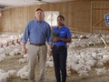 See how PerdueChicken raises chickens with no antibiotics ever! #Promotion #PerdueCrew -