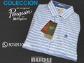Qué tal te parece esta camisa del nueva colección #penguin ¡Te esperamos! Cra 53 # 68-226 Oficina 204 WhatsApp 3012310296 o al fijo Tel: 3691514 #Barranquilla