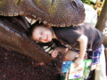 Having Fun at the Dinosaur Exhibit