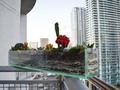 @pyara_planet Size: LP #terrariums #miami #pyaralovers #nature #florida #art #decor #norgenatural #cactus #pyāraplanet by @norge_natural 🙏🏼