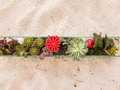 PyāraPlanet Size L Love Energy Nature #naturedecor #naturedetails #energy #terrarium #miami #nature_collection #art #natureart #design #florida #cactuslover #pyāraplanet by @Norge_natural #souloflove #norgenatural 📸 @yohskarlaphotography ✨