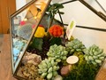 Nature, Magic, Love and Happiness #pyāraplanet #miami #art #naturedecoration #artmiami #nature #terrarium #energy #naturedesigns by @norge_natural
