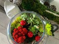 Happy Valentine’s Day ❤️❤️❤️ @janettfernandez #naturedecor #terrarium #energy #decor #art #ideas #naturedesign #pyāraplanet by @norge_natural #souloflove #norgenatural