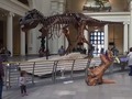 Deje un comentario bueno sobre el individuo si así lo desea!