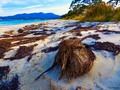 Glamorgan Spring Bay, Tasmania Australia  #naturephotography #landscapephotography #nature