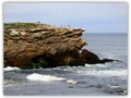 Whale watching at Warrnambool, Victoria if you can see it at the right image.  #nature #naturephotography #whale