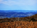 Mount Kunanyi, Tasmania  #NaturePhotography #nature #landscapephotography