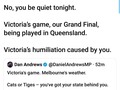 #AFLGrandFinal Yeah you better be quiet, it's cat kingdom here! 😹🐯