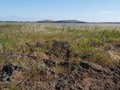 Volcanic Rocks on this lake bed. #NaturePhotography