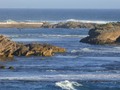 Great Ocean Road ride through Warrnambool  #nature #NaturePhotography