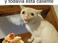 Pinshis tamales😂