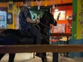 🐎 una montadita a caballo para liberar un poco de adrenalina 🔥🔥🔥🔥🔥🔥🔥