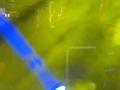 Este concierto fue para la historia en mi #CENTRO de Barranquilla fue el primer concierto 🎶 realizado en la historia y se llamó FIESTA FIN DE AÑO DEL COMERCIO y lo organizamos junto con mi hermano @josealei19 y este servidor bajo la producción de @365produccionesbarranquilla El apoyo de @luisurquijooficial y gran parte de los comerciantes del centro 🙏🏼 Se los juro que fue una noche increíble y que se que marco una nueva etapa en el centro  #vamospormas SIEMPRE DE LA MANO DE DIOS 🙏🏼  Esperen pronto nueva fecha