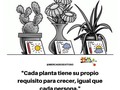 dejanos tu opinion,💭🗨de la misma manera toca dos veces❤❤ si te gustó. ⤵ Estoy en busca de personas que quieran emprender, sólo necesita tener Internet. Laptop o celular, no necesita tener conocimiento, aprenderá paso a paso y desde cero, a generar comisiones $50, $100 & $200 dólares diario. Más información al DM 📧🚀💡💻📲💰🌎💯 ✔ SIGUENOS: ☟☟💯💯 ▫ ☞@mercadeoexitoso☜ ☞@mercadeoexitoso ☜ ☞@mercadeoexitoso☜ ☞@mercadeoexitoso ☜ ▫ ▫ ▫ ▫ Si te gusta mi Contenido, 🔔compartelo en tus historias, y Activa la Campanita para🔔 que Seas el primero en Recibir mis🔔 contenido, el que Publico a Diario. 🕭 ▫ ▫ ▫ ▫ #Marketing #Ventas #Motivación #EducaciónDigital #EducaciónFinanciera #EraDigital #Business #NegocioOnline #Seller #RedesSociales #Sistematdc #MarketingAfiliado #ingresoPasivo #transformacion #vendesovendes #persistir #Sueños #MarketingDigital #CursoOnline #Libro #Leer #neuroVentas #jurgenKlaric #Aprende #YouTube #generosidad #LibertadFinanciera #Emprendedor