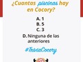 Solo los #CocoryLovers 😎💕sabrán la respuesta correcta. Responde en los comentarios, te leemos 👀😆 #ranchococory #cocory #higuey #laromana #sanpedro #diversion #familia #amigos #piscinas #areadeniños #juegosdemesa #basketball, #volleyball, #paintball #gazebos #caballos #areasverdes #celebraciones #encuentros #fiestas #excursiones