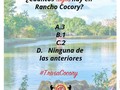 Trivia Cocory, ¿te sabes la respuesta correcta? dejanos tu comentario