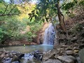 Lugar hermoso 💚  Guayabo - Cabuya   🌿🦎🌿  Zoe y Isaac