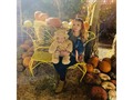 -🐻🧡🎃  #punkinpatch #2022  #mommy #babyboy