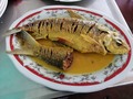 Como venir a Puerto Berrío y no disfrutar de la mas deliciosa sazón y las mejores preparaciones del pescado del Rio Magdalena!!! Que delicia!! . . . . . #pescado #bocachico #bagre #nicuro #barbudo #cachama #mojarra #tilapia #sancochodepescado #puertoberrio #riomagdalena #riveradelrio #rehagronegocios