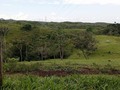 Disponibles para la venta. 517 hectareas para ganadería, con muy buenas aguas, actualmente carga 650 cabezas de ganado, cuenta con muy buenas instalaciones, corral para trabajar 200 animales. Ubicada a 50 minutos de la Dorada caldas vía Norcasia Caldas. Precio $13.000.000 x hectárea. Se recibe el 50% en propiedades comerciales no sobrevaloradas o vehículos comerciales. Información WhatsApp. wa.me/573208487321
