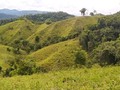 Disponibles para la venta. 230 hectáreas, finca ubicada en yolombo antioquia, a 1 hora 40 minutos de Medellín, hay 100 hectáreas abiertas en potrero, pastos brachiarias y uribe, nacimientos de agua principales, Cuenta con casa con luz, cuenta con corral para 50 cabezas de ganado, sala de ordeno con ordeno mecanico, frutales,pasto de corte. Precio $10.000.000 X H Se recibe el 30% en propiedades comerciales.  Información WhatsApp . wa.me/573208487321