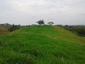 Disponibles para la venta. 1154 Hectáreas para ganadería a 45 minutos de puerto boyaca y a 35 minutos de puerto berrio antioquia, la atraviesa la ruta del sol una de las principales vías del país, es una tierra ondulada de buena calidad, muy buenas aguas corrientes y dividida de la siguiente forma. * 51 potreros  * 12 jagueyes  * 350 hectáreas al lado del río magdalena y el resto al otro lado de la autopista Los pastos son braquiarias humidicula y decumbes, Guinea de Tanzania, puntero y leguminosa kudzu, Tiene 2 corrales con báscula y brete. Dos campamentos y la casa principal. Pedido $22.000.000 x hectárea ( U$4.800 x hectárea ) Se reciben un % en propiedades en Cali Valle. Información WhatsApp. wa.me/573208487321