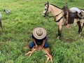 Qué producto utilizas para curar los ombligos de los terneros recién nacidos ? Deja tu comentario 👇👇