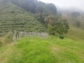 Disponible para la venta. 17 hectáreas en tierra fría, casa de trabajo, carretera hasta la casa, nacimiento de aguas propias, tiene potreros para 10 cabezas de ganado en ceba, ideal también para cultivos de Mora, Tomate de Árbol, Habichuela, Apio, actualmente tiene 5000 matas de Mora en producción. Ubicada en La vereda La Palma a 17 kilómetros de Piedecuesta Santander cerca a Bucaramanga. Precio $800.000.000 Información WhatsApp. wa.me/573208487321