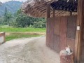 Disponible para la venta. Excelente entable para criadero y entrenamiento de caballos, lote de 10.000 metros con 4.500 metros construidos, distribuidos de la siguiente forma. 32 Pesebreras en la zona principal. 3 bodegas. Picadero. Torno. Casa principal muy cómoda con 4 habitaciones, 2 baños privados, salón de eventos, cocina, zona de lavado, 6 Pesebreras principales, 1 bodega. Casa de trabajadores. 5 habitaciones, 2 con baño privado. Cocina, zona de lavado, sistema de hidroxilos de agua propia de un nacedero.  Ubicada en Girardota Antioquia. Precio $3.300 Millones, se escuchan propuestas de negocio, se recibe el 30% en propiedades comerciales y carros. Información WhatsApp. wa.me/573208487321