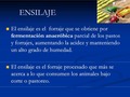 2023-07-03 12:44:52