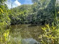 Disponible para la venta. 1160 hectáreas, terreno completamente ondulado, cuenta con 6 nacimientos de agua  ,6.000 arboles de limón Tahití, 1.000 Arboles de mango tomi,12.000 plantas de Piña  Cuenta con dos casas. Ubicada en La Danta Antioquia a hora y media de Doradal Antioquia. Información WhatsApp. wa.me/573208487321