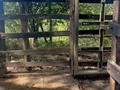 Disponibles para la venta. Toretes #brahmangris puros con registro, toros ya listos para servicio, se entregan con prueba de fertilidad, ubicados en Puerto Triunfo Antioquia. Información WhatsApp. wa.me/573208487321