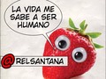 En un universo paralelo