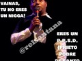 Tres días en NY y ya son niggers
