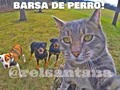 Digan cheese (etiqueta a es@ amigo que nunca se ríe en las fotos)