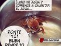 Un consejo motivacional para comenzar el día.