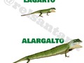 Definición gráfica