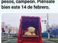 Que viva el amor! Buenos días