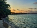 🤔😍Quieres disfrutar de un hermoso amanecer cómo este?😍🤔. Acompáñanos! Salimos MAÑANA VIERNES EN LA NOCHE para Morrocoy 😱🌅😍 • 🤩FULL DAY 2 EN 1🤩 • 🌅CAYO SOMBRERO + 360🌅 • 🌴🔥😍Acompáñanos este próximo SÁBADO 18/01 a conocer y disfrutar del hermoso Cayo SOMBRERO y una gran visita a 360 junto a nosotros 😍🔥🌴 • • Ven y Disfruta de aguas cristalinas, azules intensos, hermosos paisajes, excelente gastronomía y la mejor atención por parte de nuestro equipo! 🙋🔥 ¿Quieres disfrutar de una aventura inolvidable? • • COSTO 💸 👥😱DOS PERSONAS POR TAN SOLO 40$😱👤 • • Reserva desde ya en este maravilloso destino!😃. NO TE QUEDES SIN CUPO🤑 • • Ponte en contacto con nosotros, escríbenos a nuestro Whatsapp o indícanos un correo electrónico y te daremos toda la información. 📞📱 Sólo faltas Tú! .🤩 • Comunícate con nosotros a través de nuestros contactos E-mail: aventuraladins@gmail.com / jyrtours@gmail.com Whatsapp: 04122006340 Teléfonos: 04122006340 Opcionales: 04141366808 / 04241500629  #turismo #turismointerno #bestplacetogo#tourism #turismo #morrocoy #landscape #IslaLaTortuga #VenezuelaFotos_ #travel#ig_venezuela_ #elnacionalweb #ig_venezuela #ig_Caracas #venezuela_estrella #igersvenezuela #venezuela_fotos #trip #beachlifevzla #cayosombrero #Venezuela #instavenezuela #thisisvenezuela #estoesvenezuela #venezuelaparadise#Caribe #viajaenvenezuela - #regrann