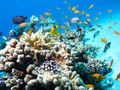 Australia’s New Marine Parks Plan is a Case of the Emperor's New Clothes