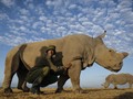 To stop mass extinction, reform the outdated Victorian harm principle