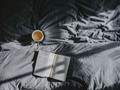 The PhD: Getting to Grips with New Literatures