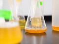 The PhD: What is “Measured” Writing?