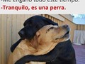 😎😎💯 #like4like #humor #follow4follow #likeforfollow #sivar