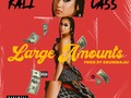 NEW MUSIC: KALI CASS - LARGE AMOUNTS -