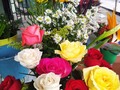 Hermosas rosas 😍😍😍💐