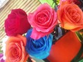 Disponibles hermosas rosas 😍