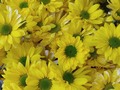 Feliz día 🌻🌻🌻